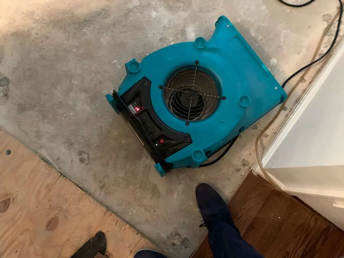 Air mover drying subfloor during Commercial Water Damage Restoration in Bellview